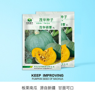 �п�ï�A�߲˷N��ï�A�y���ϹϷN���ϹϷN���½��������ζ