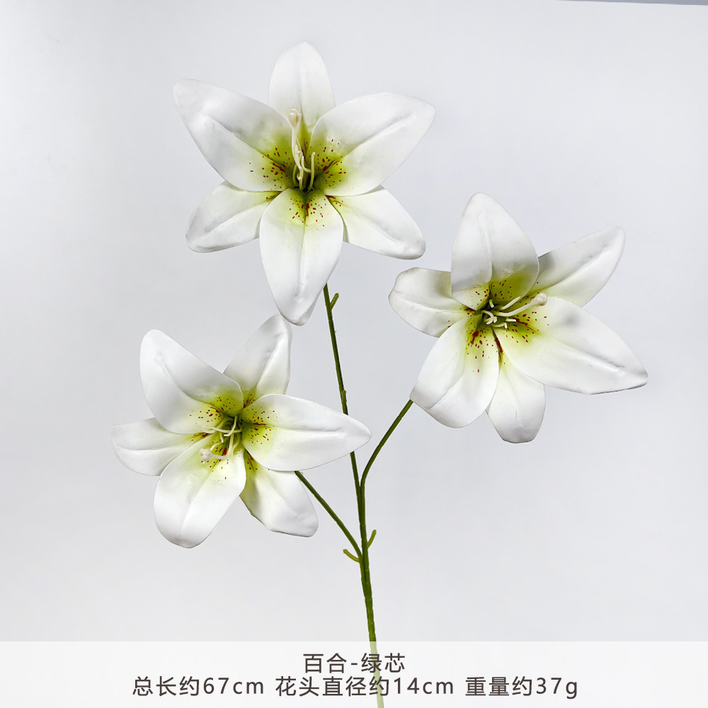 YM2-ลิลลี่-กรีน คอร์