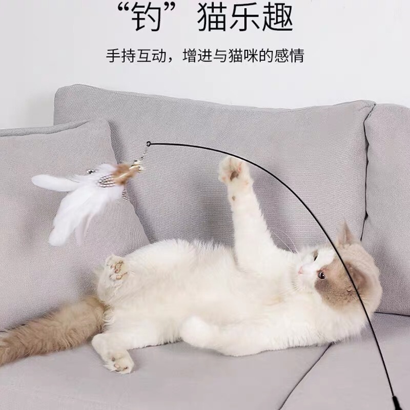 猫玩具自嗨解闷神器猫咪懒人自动逗猫棒羽毛吸盘带铃铛耐咬幼猫|undefined