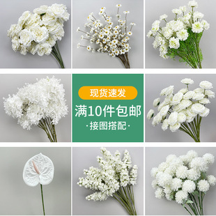 ��c���滨ˇ��ɫϵ����õ�廨���X�~��Y�������廨����bٻ�