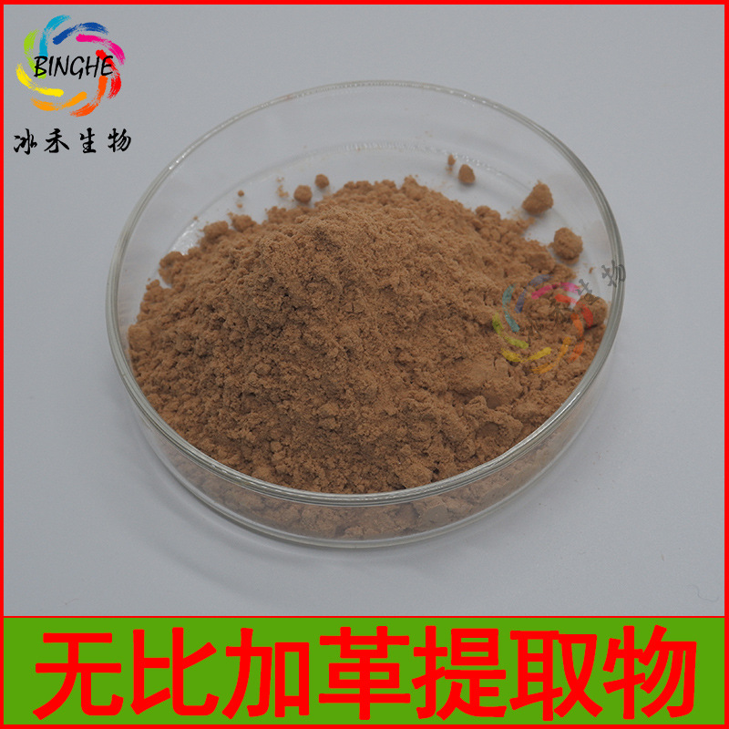 无比加革提取物200:1 冰禾生物 无比加革浓缩粉 多规格 现货包邮