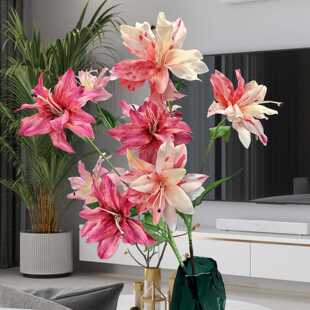 ���滨��ӡ3�^С�ٺϼҾ��b�Y���������ͮ��L�ٻ��[�����l