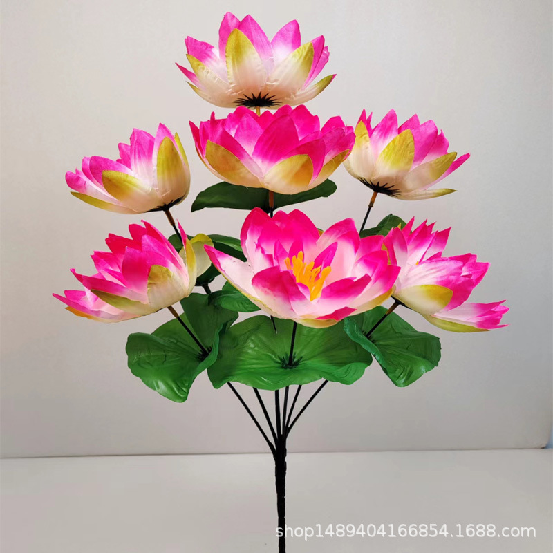 붉은색 수련 7개