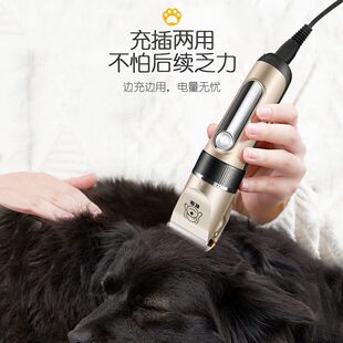 ������Ƽ�������ë��؈��̩�Ϲ�ë늄����l���I��ë����ë�����