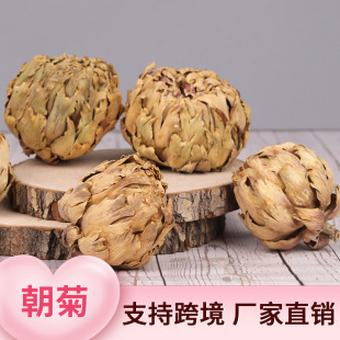 ���տ羳�ɻ����������նY��ɻ����l�滨����Ʒ�ɻ�diy���ϏS��