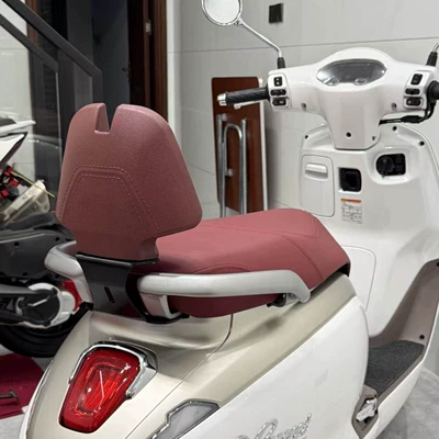 Modified Rear Backrest, Rear | Motorcycle tail