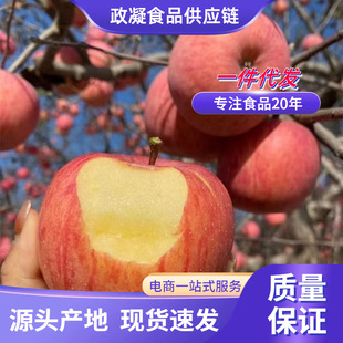 ����t��ʿ ���l3/9�����r���������֭��Ʒ�N�t��ʿ�O���ЋDˮ��