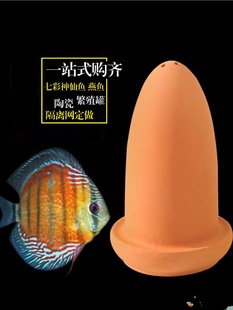 Fish Tank Pet Supplies Four Color Colorful Plate Tank Spawning Aquarium Swallow Fish Equipment Breeding Incubator Ornamental Fish