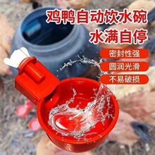 家禽饮水器鸡鸭自动养殖加厚耐用鸽子雏鸡喝水神器通用家用新款
