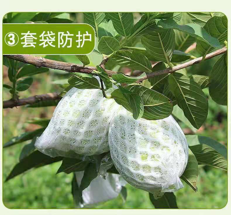 9092c3db-0d93-4dba-a3b3-5512d8e2b3a8.jpe