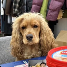 ������������Ь-�a����С��a����һ�a ��ϵ�ͷ��l52007���D��