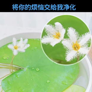 һ�~ɏ��ɏˮ��ˮ��ֲ���҃��̨�ļ��_�������~�׸���ɏ����}