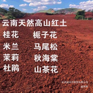 ��ϸ�ԭ����С�w���t���軨��������ľ���N���Ի��ܠI�B��ֲ��