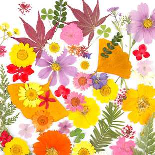 �ɻ�DIY���ϰ�����������ƬѺ�����ֹ����z�����滨ֲ����~�˱�