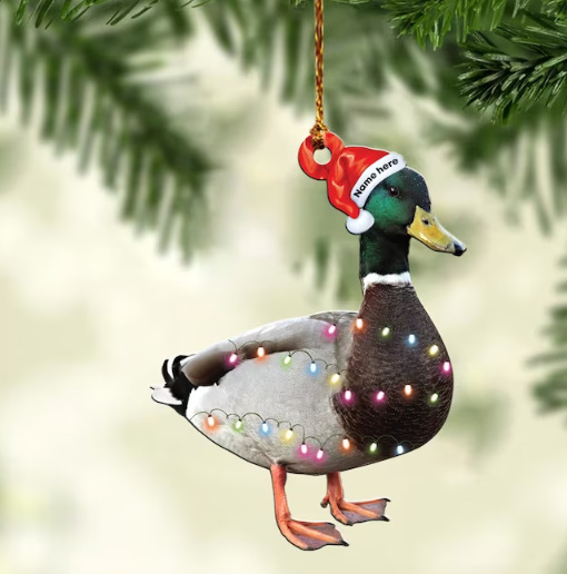 Transfronteriza nueva decoración de Navidad de dibujos animados lindo pato adornos de coche de Navidad adornos de árbol de Navidad decoraciones para el hogar