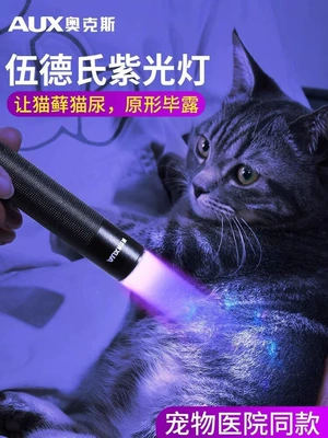 Teasing, Purple Light Flashlight, UV fənərlər