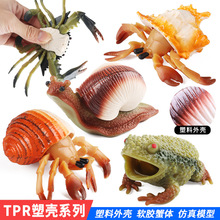 仿真动物模型儿童认知蜗牛螃蟹寄居蟹蛤蟆章鱼捏捏乐发泄解压玩具