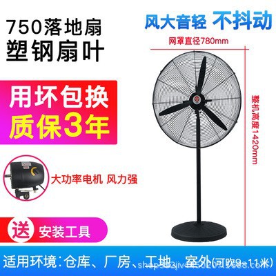 750落地塑.jpg