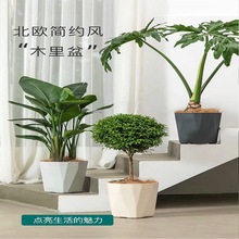 ���û��脓�₀�Ԙ�֬�Ӻ�Ӂ����Ա��W���sľ�����G�}�J�C����