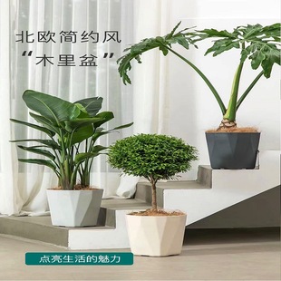 ���û��脓�₀�Ԙ�֬�Ӻ�Ӂ����Ա��W���sľ�����G�}�J�C����