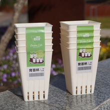 �S��ֱ��7cm8cm����Ǥ������������϶��������Q���ڷNֲ���籭