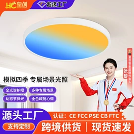 风扇灯;吸顶灯;智能家居