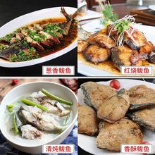 §青岛鲅鱼段马鲛鱼块燕鲅鱼块鲅鱼肉馅鲅鱼水饺鲅鱼新鲜鲜活海鲜