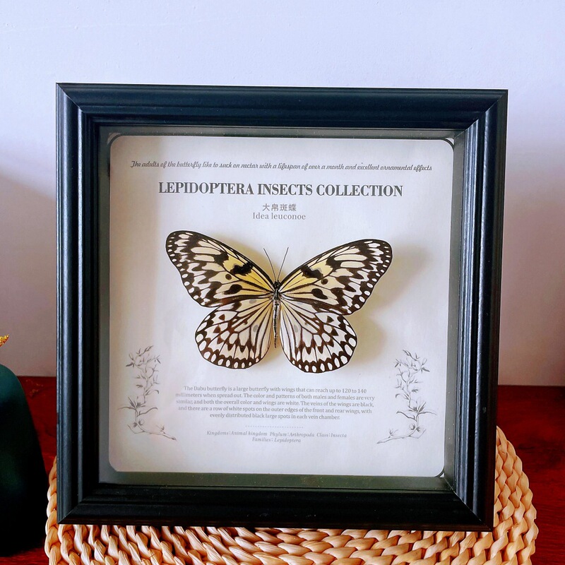 European Style Photo Frame Hollow Stereo 2cm Butterfly Insect Plant Shell Creative DIY Glass Large Size Display Frame