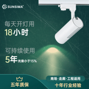 led����չ�d��܉��30w�����b�����^����������b��cobɢ��܉����
