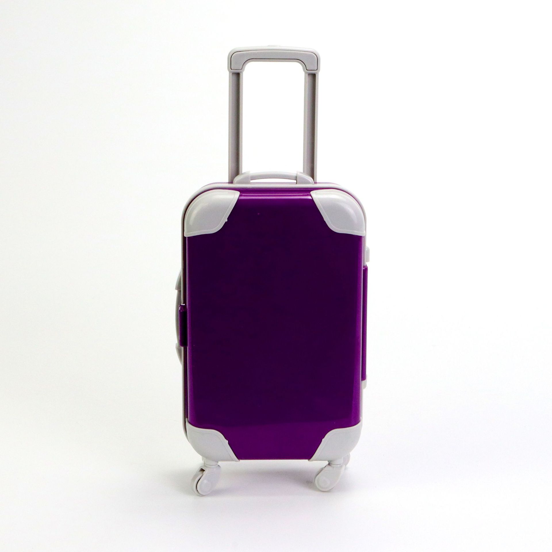 단색 작은 진한 보라색