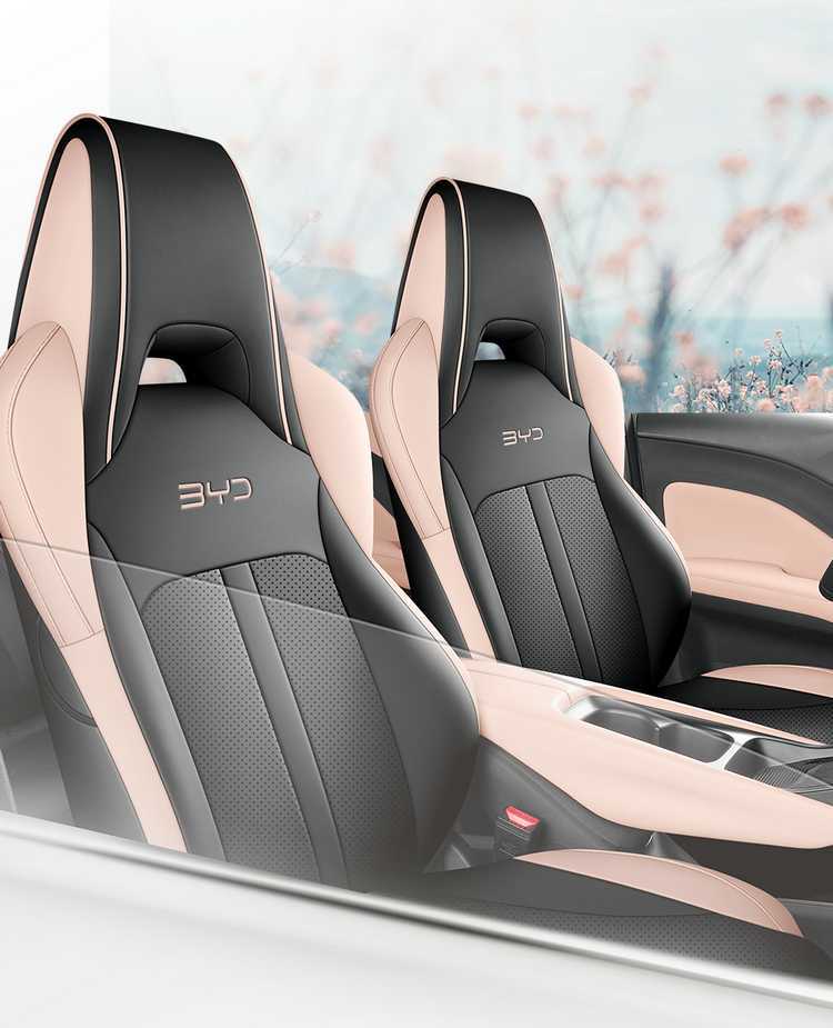 Byd Seagull Seat Cover for All Seasons, Seagull Special Seat Cushion, All-Inclusive Car Seat Cover, Car Seat Cushion