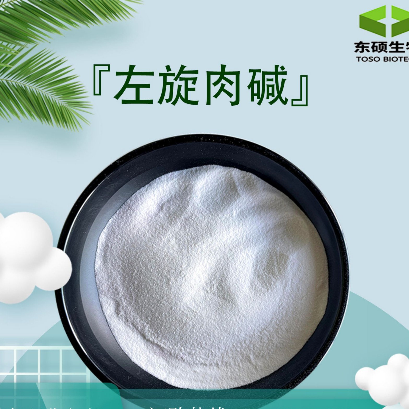 左旋肉碱  L－肉碱 541-15-1营养强化剂 食品级 现货供应