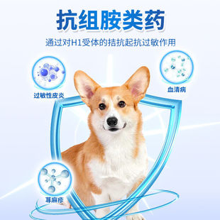 �R���ᰱ������Ƭ���ﹷ��ֹ �Wș؈��Ȯ��Ƥ�w ���ڷ�ș�^����