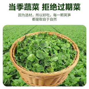 �n�S���r�������n�ĸ�Ƭ��؛���خaÓˮ�߲˸ɷ�ؕ��̦��500g���]