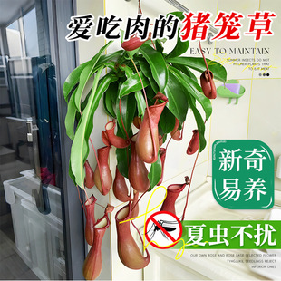 �i�\�������҃ȿ͏d�ļ������̨ʳ�x��ò�ω��ͥԺ���B���mֲ��