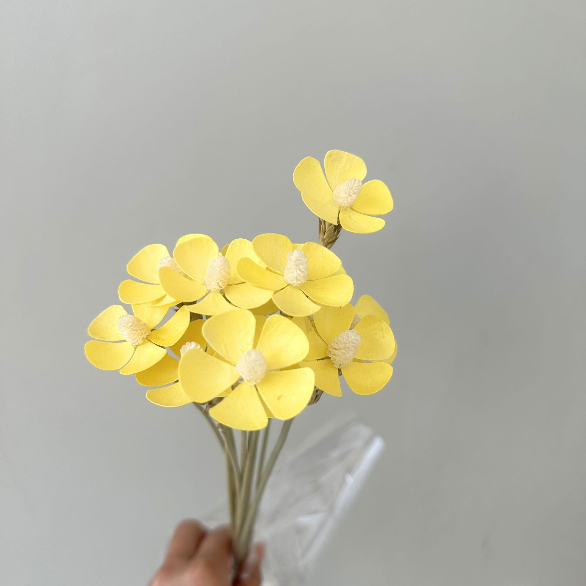 노란색 12개 스틱/팩