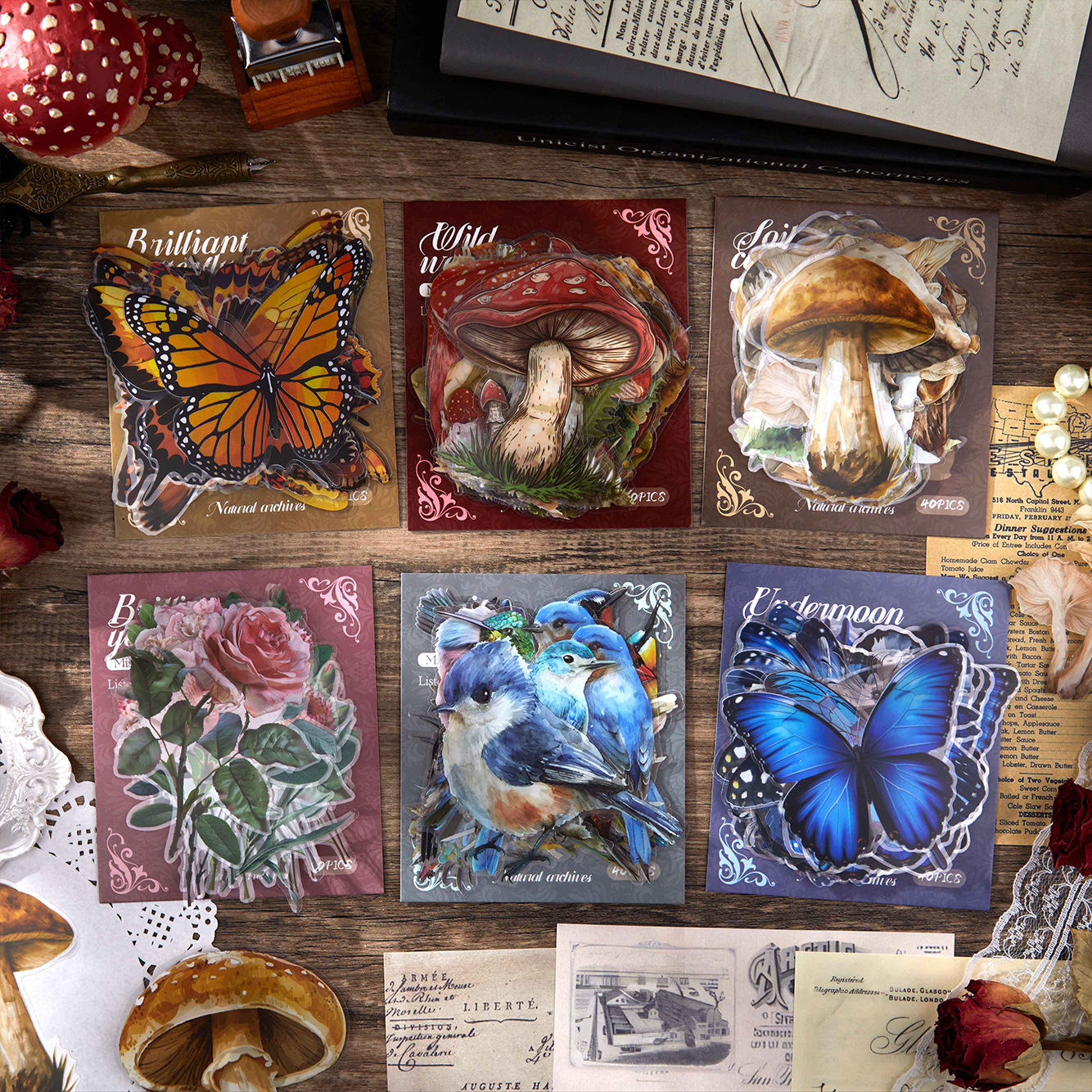 Diez mariposas brillantes tema de la caja de fotos, archivo natural serie de hongos creativos caja de fotos de fotos de fotos de fotos