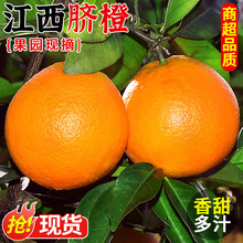 �����خa�M��Ě�Ȯ���ˮ���~�ɠ������ք������ȱ�����ȹ��@ֱ�l