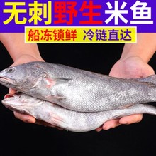 鮸鱼-鮸鱼批发、促销价格、产地货源 - 阿里巴巴