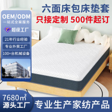 跨境热销防水床包立体拉链全包裹床笠床垫保护套席梦思保护垫