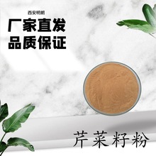 芹菜籽粉99% 芹菜粉 芹菜素 芹菜提取物10:1 比例浓缩萃取