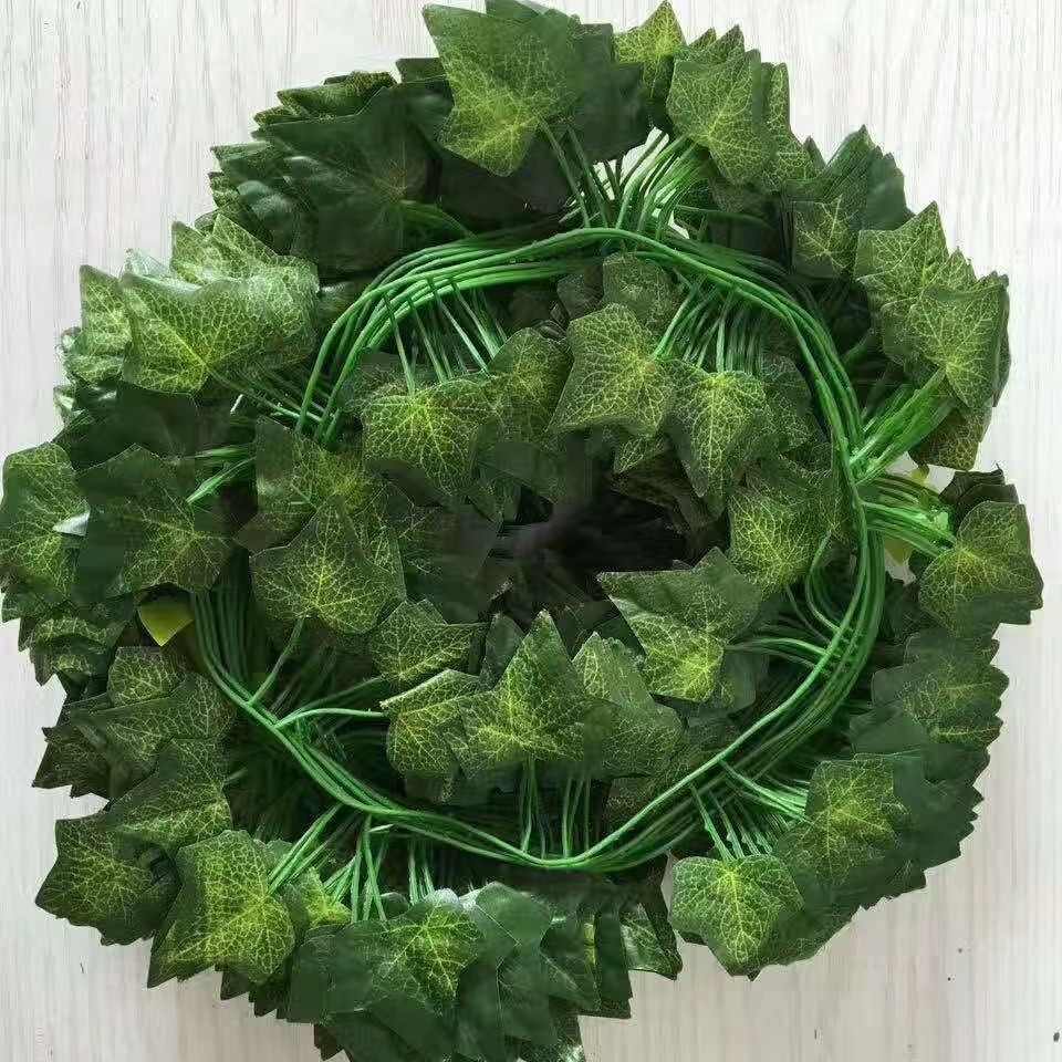 크고 작은 잎이 있는 무취 향이 나는 아이비 스트립 60개(12개 스트립)