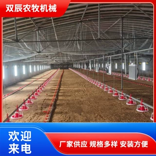 厂家批发定制养鸡水线料线 自动喂料喂水线 大型养鸡场平养设备