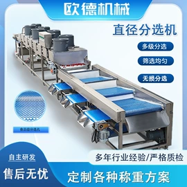 包装辅助设备;肉品加工设备;其他包装成型