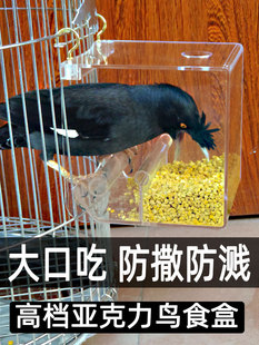 ���Rʳ�з����������ʳ����̖�Bʳ���W�^�˸��B�\��˦�Ԅ�ιʳ��