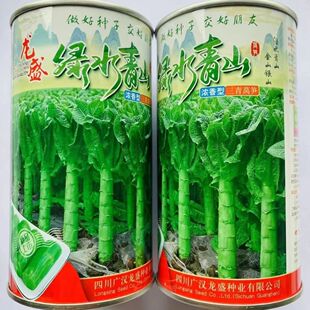 �Gˮ��ɽ�n�S�N�ӈA�~��Ƥ��������S�������n�S�ﶬ���N