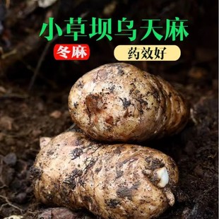 ���������ͨС�݉η�Ұ��������Y���ڰl���^ʹ�ؼ����r����