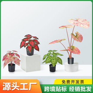 ���R�d����ֲ���ɫ���^�Gɫ���^ϲ����ˮ���̈������Gɫ��ˮ��