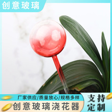 红色渐变球形自动浇水渗透懒人浇花器重力渗水玻璃工艺品自动浇花