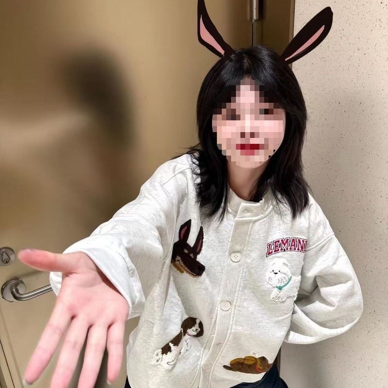 美式复古绣花棒球服开衫卫衣外套女春秋2025新款学生宽松慵懒上衣|undefined